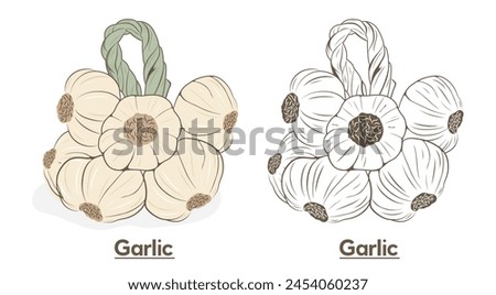 Garlic line icon vector illustration. Hand drawn illustration of garlic hanging on a rope, harvesting vegetables with a rope for storing in the kitchen.