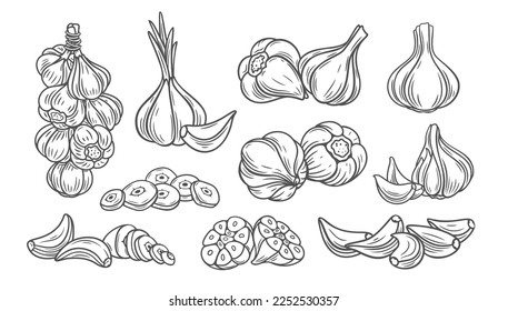 Garlic line icons set vector illustration. Hand drawn outline garlic cloves with leaf and bulbs, organic vegetable for spicy food, spice and condiment, healthy vegetarian ingredient for cooking