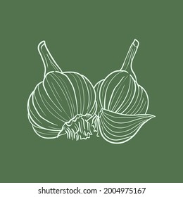 Knoblauch-Linie, Vektorgrafik. Detailliertes Food-Symbol für mobile Konzepte, Print, Menü und Web-Apps. Für Restaurant, Bar, veganische, gesunde und ökologische Lebensmittel, Markt, Bauern Markt.