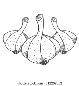 Garlic logo. Condiments and spices to dishes. Illustrations coloring.