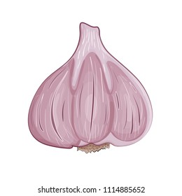 Garlic logo in flat style. Isolated object. Garlic icon. Vegetable from the garden. Organic food. Vector illustration. eps10