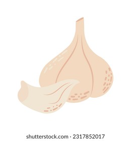 Garlic logo in flat style. Isolated object. Garlic icon. Vegetable from the garden.