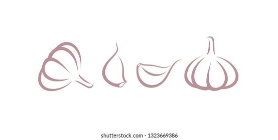 Garlic logo. Isolated garlic on white background