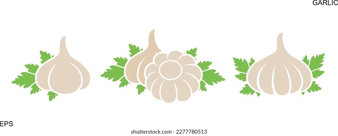 Garlic logo. Isolated garlic on white background