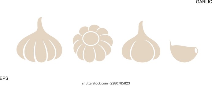 Garlic logo. Isolated garlic on white background