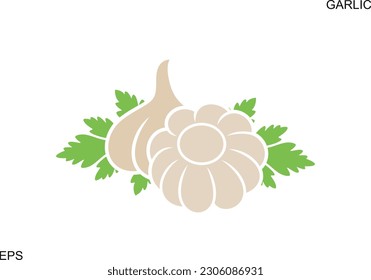 Garlic logo. Isolated garlic on white background