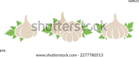 Garlic logo. Isolated garlic on white background