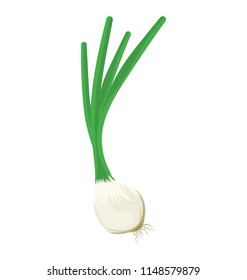 
Garlic with long green stems or roots, this is scallion icon 
