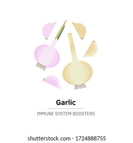 Garlic. Long shadow flat design vector icon.