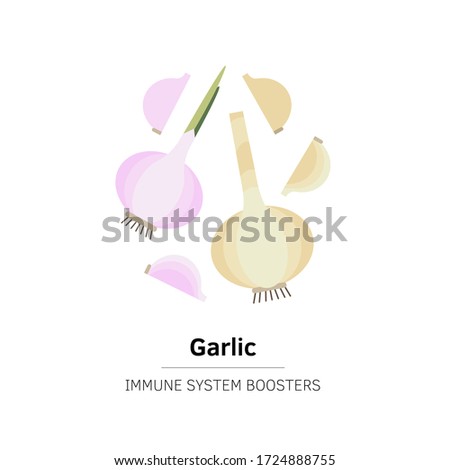 Garlic. Long shadow flat design vector icon.