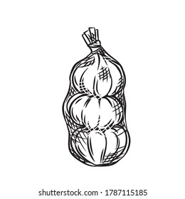 Garlic in mesh bag. Vegetable packaging concept. Drawn engraved vector illustration of three bulbs of garlic.