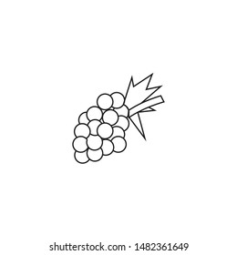 Garlic minimal line icon vector