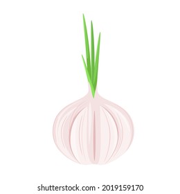 Knoblauch auf weißem Hintergrund. Ein reifes Gemüse.