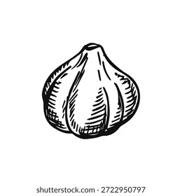Ajo sobre un boceto de fondo blanco
