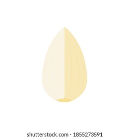 Knoblauch auf weißem Hintergrund. Knoblauchvektor.