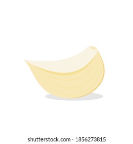 Garlic on white background. Garlic vector.