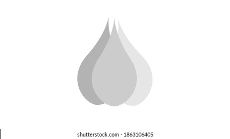 garlic on a white background, vector illustration. garlic for seasoning food. natural product. farm cultivation of garlic in the garden. garlic from your own garden.