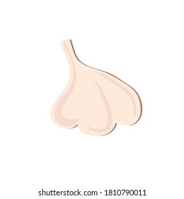 Garlic on a white background. Vegetable. Illustration.