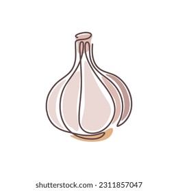 Garlic in one line drawing art style. Vector illustration isolated on white background