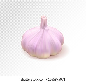 Garlic one whole isolated on transparent background. Quality realistic vector, 3d