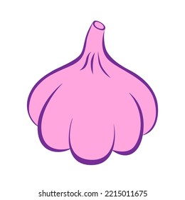 Garlic. Organic vegetable  isolated on white background. Healthy lifestyle. Vector illustration in flat style.