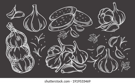 Garlic outline drawn monochrome icon set on blackboard. Engraved drawn white on black pile of garlic bulbs, in net bag and runchy garlic bread. Vector illustration of vegetables, farm product.