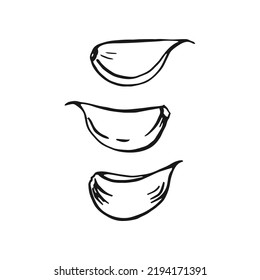 Esquema de ajo. Ilustración vectorial dibujada a mano. Producto del mercado agrícola, vegetal aislado
