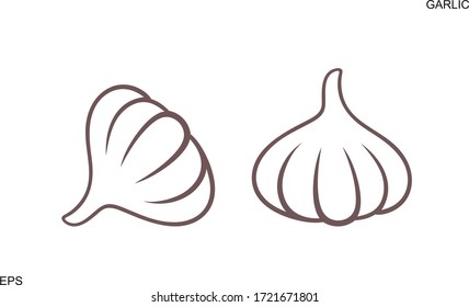 Garlic Outline Isolated Garlic On White Stock Vector (Royalty Free ...