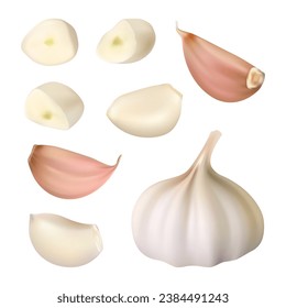 Garlic. Peeled cloves garlic slices decent vector realistic template set