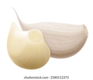 Garlic, peeled and unpeeled cloves isolated on white background. Spice ingredient for cooking or spice and condiment product package design. Realistic 3d vector illustration