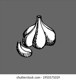 garlic, pen-drawn, black and white
