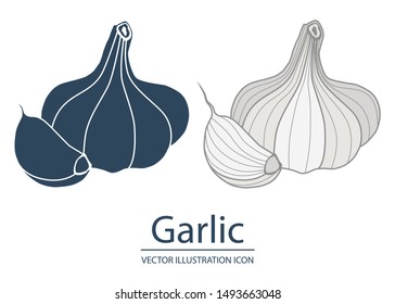 Garlic. Popular seasoning for cooking.