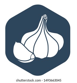 Garlic. Popular seasoning for cooking. Vector icon for design and web.