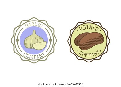 Garlic and potato badge vector illustration.