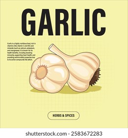 Garlic Premium Vector Clipart High-Quality Illustration for Cooking Branding and Packaging