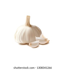 Garlic realistic 3d Vector isolated illustration icon on white background