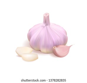 Garlic realistic 3d Vector isolated illustration