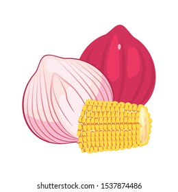 garlic red onion corn fresh food vector illustration