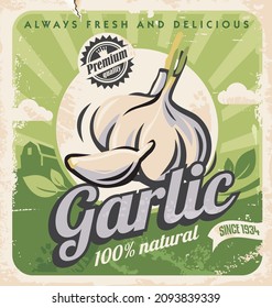 Garlic retro poster. Farm vegetables and fresh organic products vintage vector illustration on old paper texture.