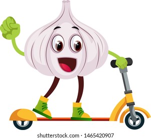 Garlic ridding scooter, illustration, vector on white background.