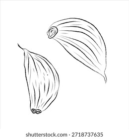 Dibujo de semilla de ajo, formato EPS, doodle dibujado a mano conjunto de iconos, dibujo de contorno, dibujo de contorno para ajo, diseño de Vector, arte de línea de ajo de Vector, conjunto de diseño de pintura a mano