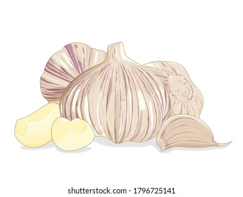 Knoblauch mit Segmenten einzeln auf weißem Hintergrund