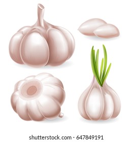 garlic set. Full editable, isolated on white. Ripe Garlic, dry one, pieces.