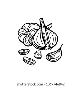 Garlic set. Hand drawn illustration of chopped garlic. Isolated background. With layers.