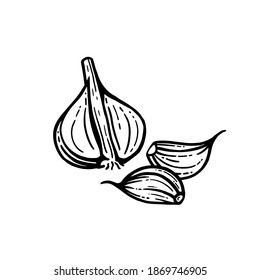Juego de ajo. Ilustraciones dibujadas a mano. Fondo aislado de ajo en rodajas.