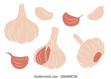 Garlic set. Head of garlic, cloves, peeled and husked. In a cartoon style. Vector illustration for design and decoration.