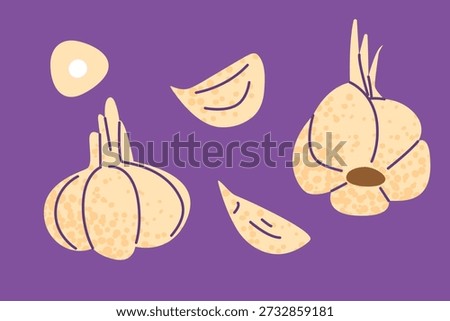 Garlic set illustration in flat style showing whole bulb, cloves and sliced garlic. Suitable for cooking, recipes, food design, packaging, nutrition and culinary projects.