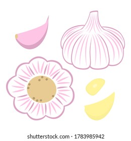 Garlic set isolated on white - whole, garlic clove, peeled, slice