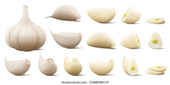 Garlic set. Whole garlic head, peeled and unpeeled cloves isolated on white background. Spice ingredient for cooking or spice and condiment product package design. Realistic 3d vector