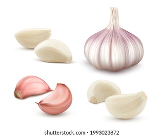 Garlic set. Whole and peeled cloves. Realistic vector illustration isolated on white background.